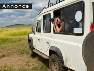 safarirejse i Afrika